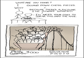 Roller Coaster Chess
