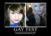 Gay Test