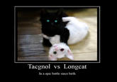 Tacgnol