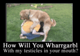 WHARRGARBL / Sprinkler Dog