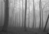 Slender Man