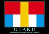 Otaku Test