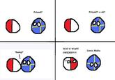 Polandball