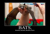 Brushie Brushie Brushie