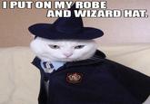 Robe And Wizard Hat