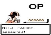 OP is a Faggot