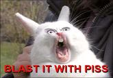 Blast It With Piss!