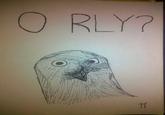 O RLY?