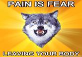 Courage Wolf