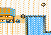 pokemon glitches