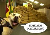 Dorgas