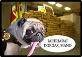 Dorgas