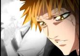 QUALITY