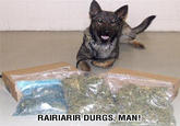 Dorgas