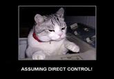 Assuming Control