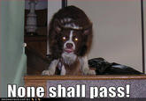 You Shall Not Pass!!!