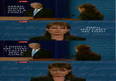 2008 United States Vice-Presidential Debate