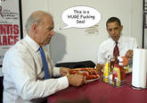 Big Fucking Deal (Joe Biden)