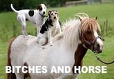 Bitches and Whores
