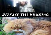 Release The Kraken!