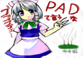 Sakuya's breast padding