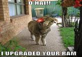 Oh Hi I Upgraded Your RAM