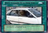 Two Camels in a Tiny Car