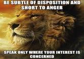 Power Lion