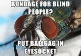 fetish fly