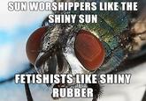 fetish fly