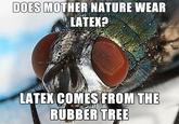 fetish fly
