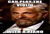 The Most Interesting Man in the World