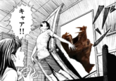 Door Bursting Open / Door Slam / Gashunk