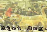 Riot Dog
