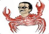 Crab Nicholson