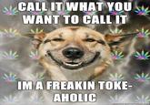 Stoner Dog