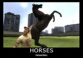 X's Y is not a horse
