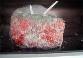 Gluttonian Blue Fur Cake