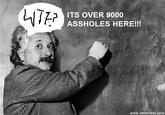 Einstein Blackboard