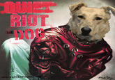 Riot Dog
