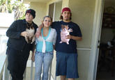 Boozecats