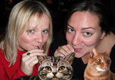 Boozecats