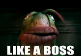 Like A Boss