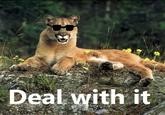 Cougar/Cougar out of f***ing Nowhere!