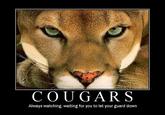 Cougar/Cougar out of f***ing Nowhere!