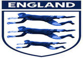 Robert Green Fail