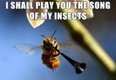 Bzzzzzzzzzz / World Cup Vuvuzelas