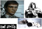 Gonads and Strife