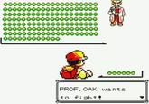 Fake Pokémon Battles