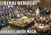 I Agree with Nick